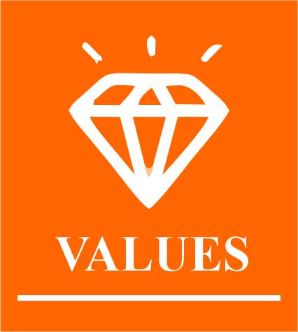 values.jpg